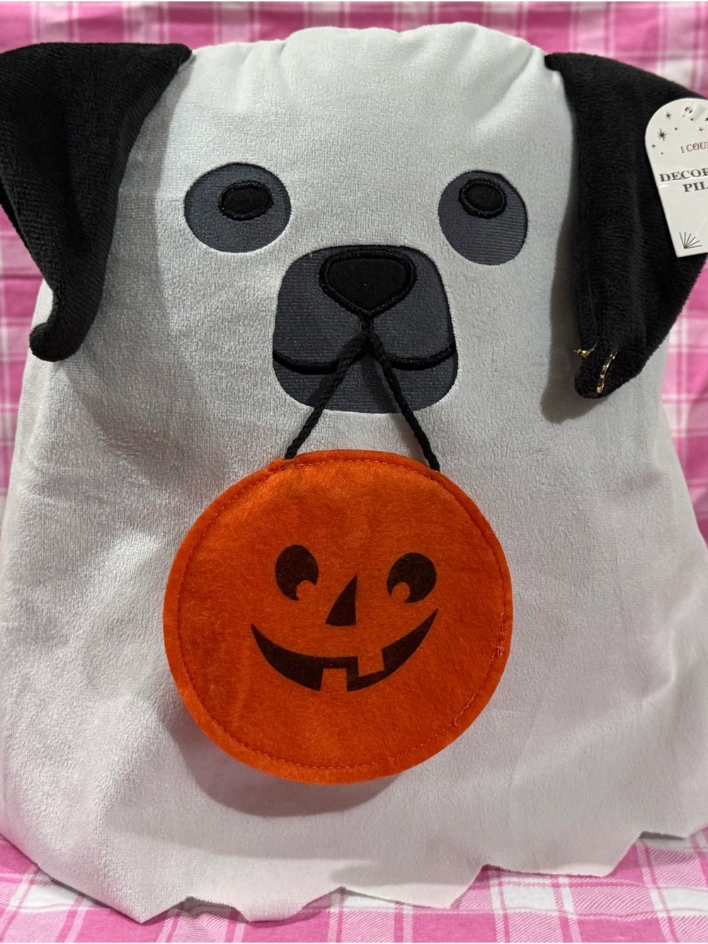 Halloween Decorative Pillow with Black Cat Pin and Starry Journal